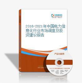 2015-2020年中国电力信息化行业发展预测及投资战略咨询与投资信息咨询分析